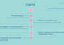 design a modern captivating full presentation for you in canva and powerpoint